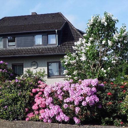 Haus Wiesel Bispingen Exterior photo